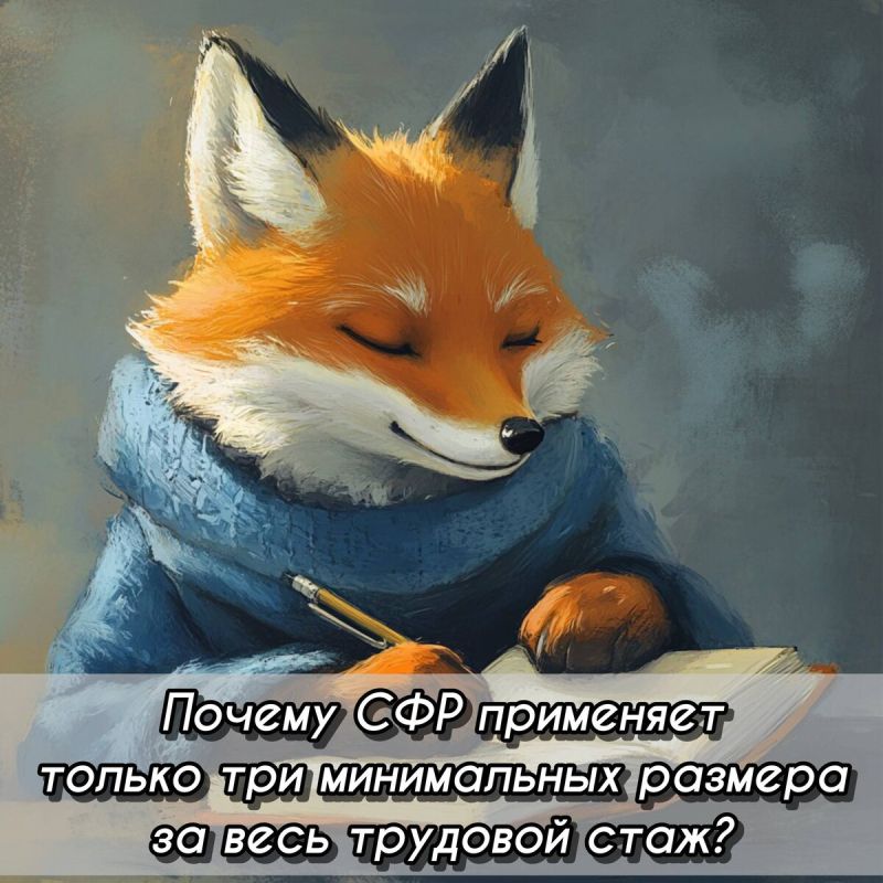  :       2025 