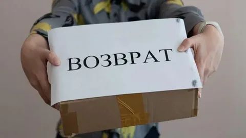     :     2025 