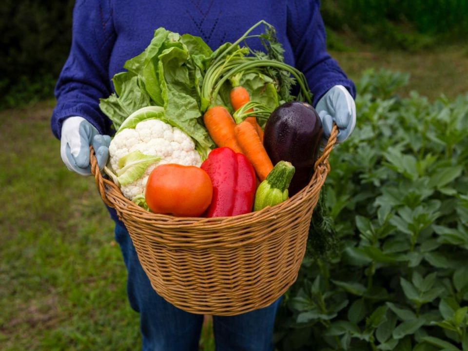 Овощи, которые стоит избегать на своем участке