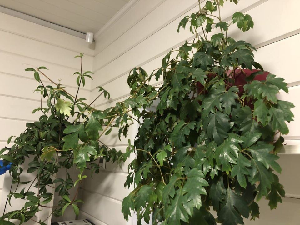 �� ��� ��������� �������� ������� ��� ������: ����� ����� �� ��������� �� ������