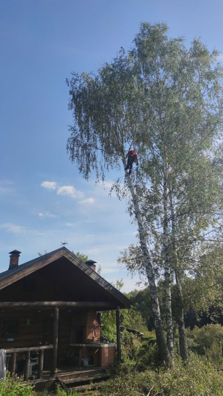 ������� �������� �� ����������� �������: ��� �������� ��������� � ��������� �������