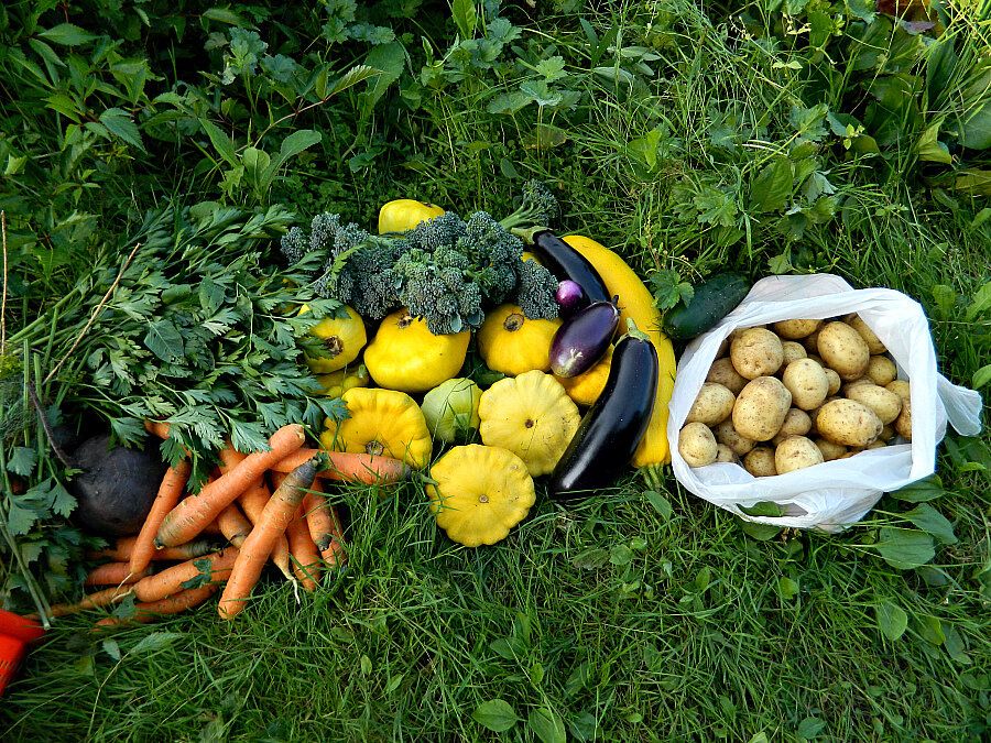 ������ � �������: ������ �� ����� � ������