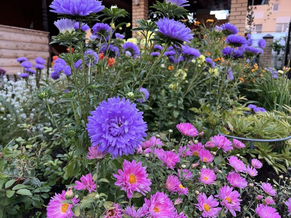 ����������� �������� � ����: ��� ����������� ����� ����� ��������� ��������