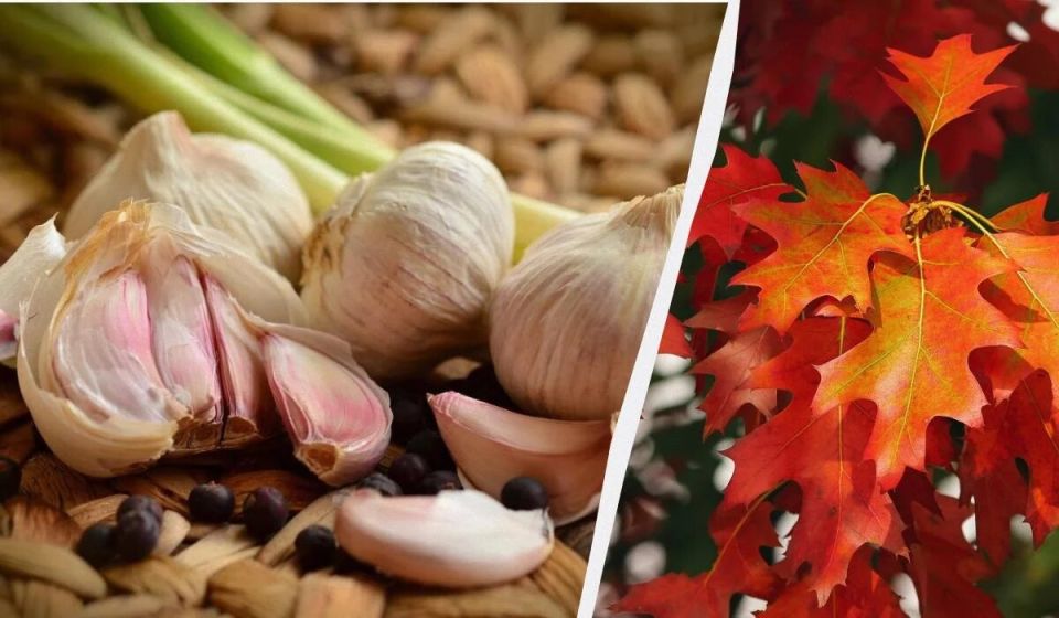 ������ ����� � ������ ��� ��� ������� ������� ������� � ������