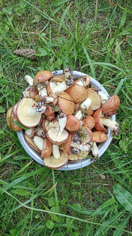 ���������� ������ ������ � ��������� ��������� � �������