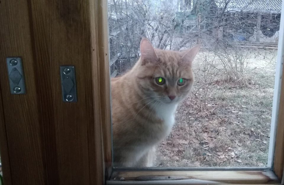 ������� ������ ������� ���������: ������� ��� � ���� � ����� ����