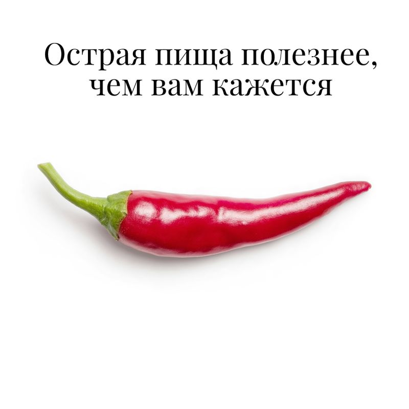 ������ �����: ������ ������ ��������