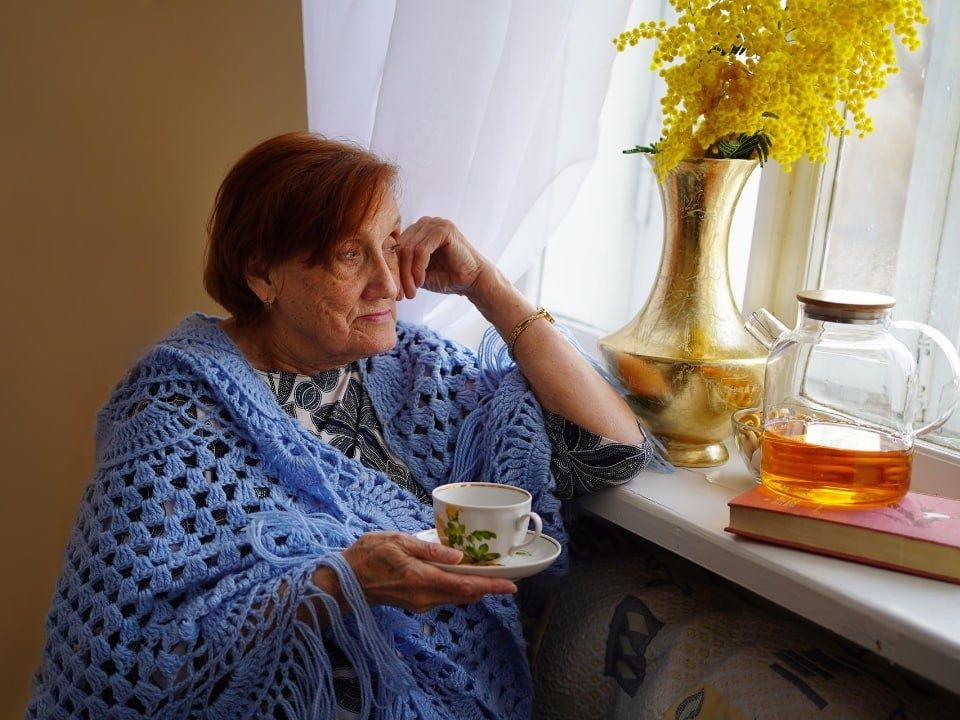 ���������� �������� 2026 ����