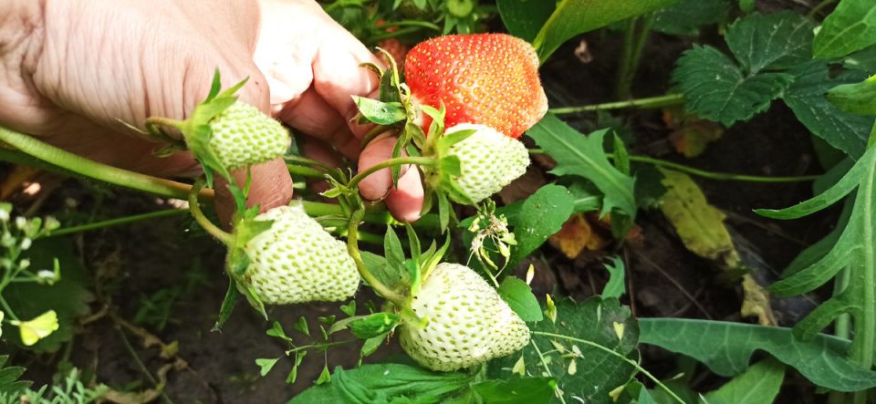 ��������: ������� ��������� ������