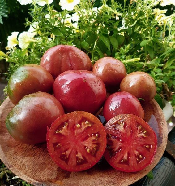 ������ �����: ������, ������� ������� ���� ����