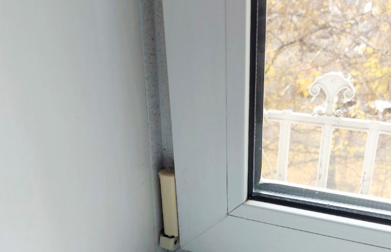 Молчащий враг: как плесень угрожает вашему здоровью