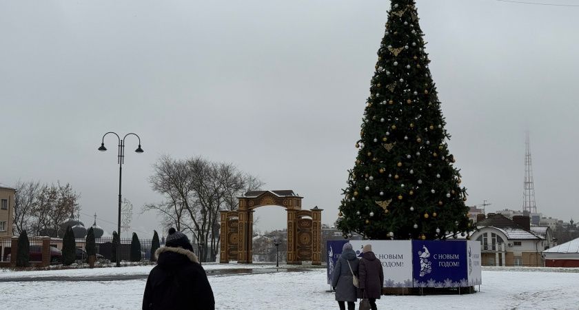 Кому и на сколько повысят пенсии с января 2026 года в России