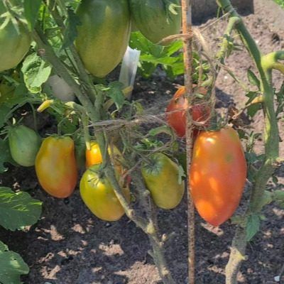 ����� � ����������: ������ ���������� ���� �������� �����������