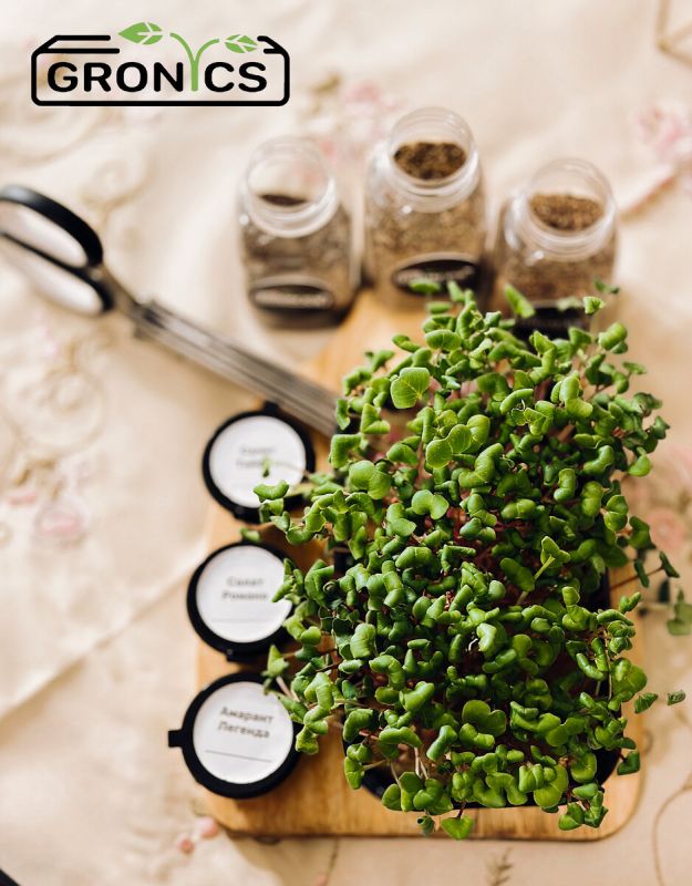 �����������: ����� ����� ��� ��������� ����������� �������