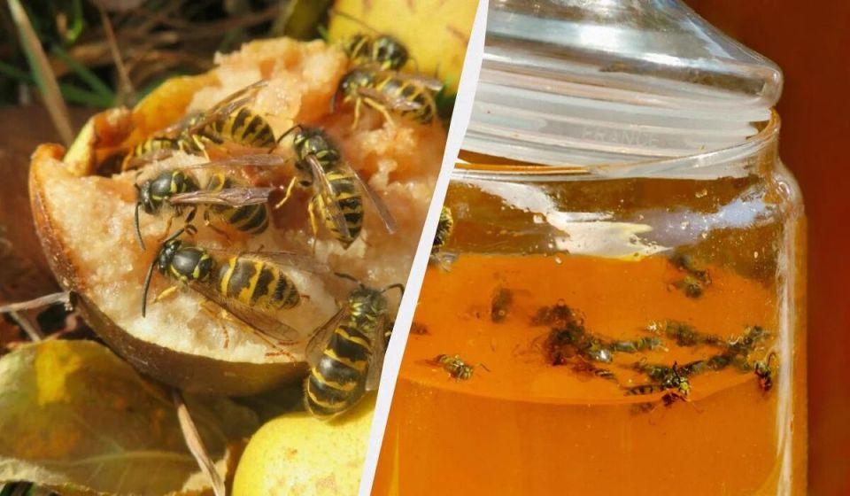 �� ���������� ����: ��������, ������� �������� ��������� �� ������ ����