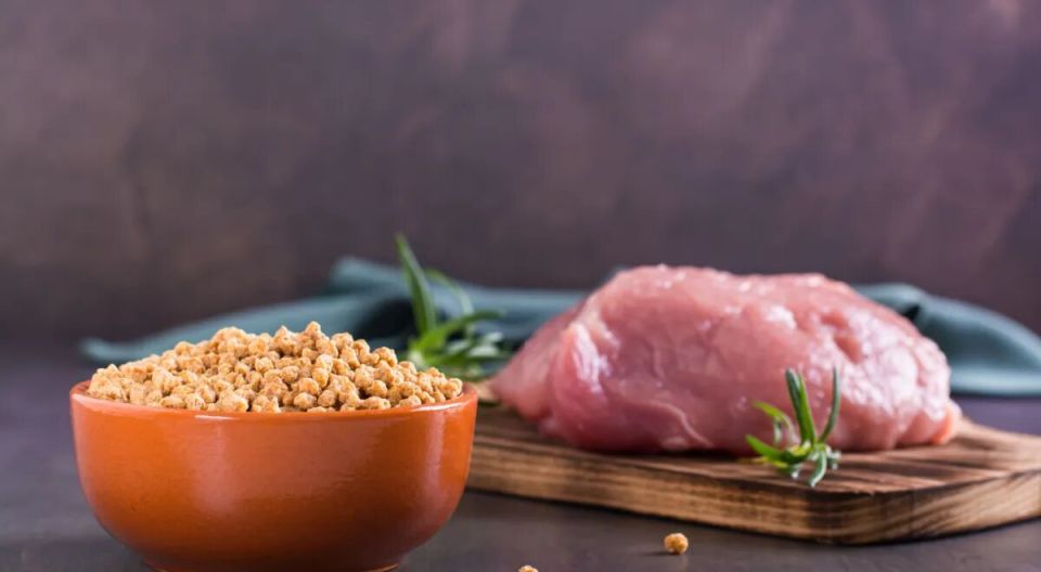 Какой белок может продлить жизнь? Результаты нового исследования