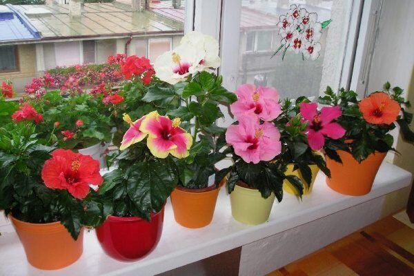 �������� � ����: ��� ������� ����� ��������� � ������������� �������