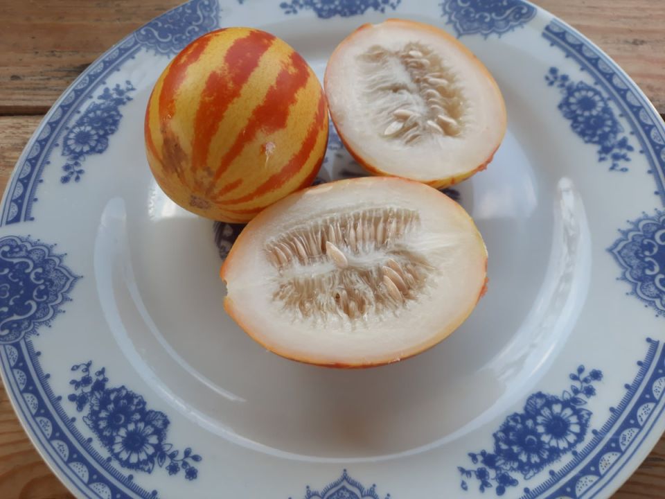 ��������� ������� ������ �� ��������: ��� ��������� ��������� ������� ����