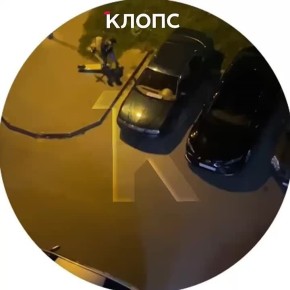   33-         ,          