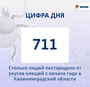  2    12  