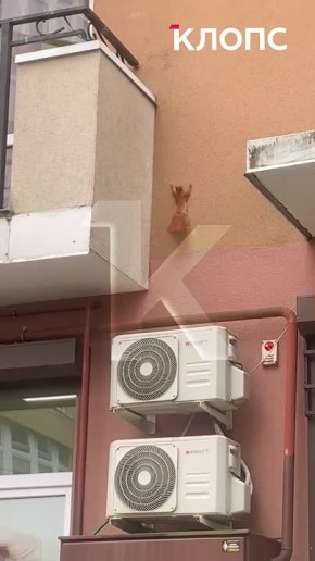      :     ,    