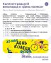 Куда бесплатно сходить в выходные в Калининграде и области