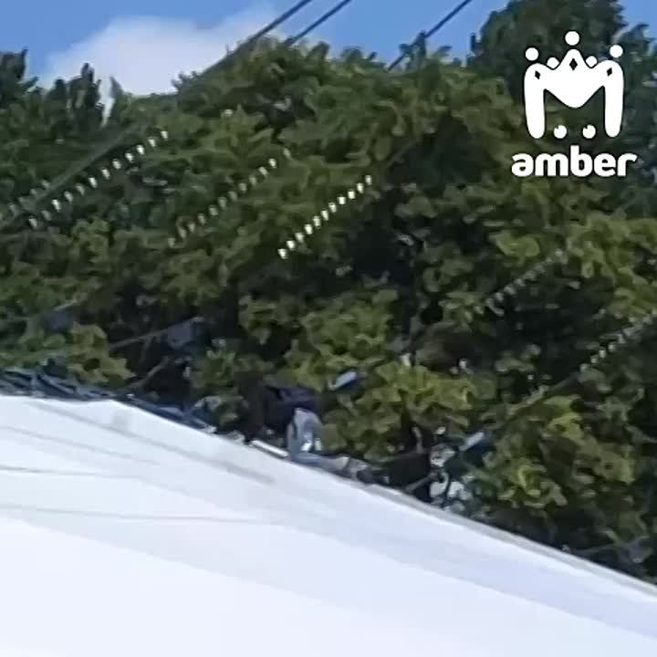 ,   ,          