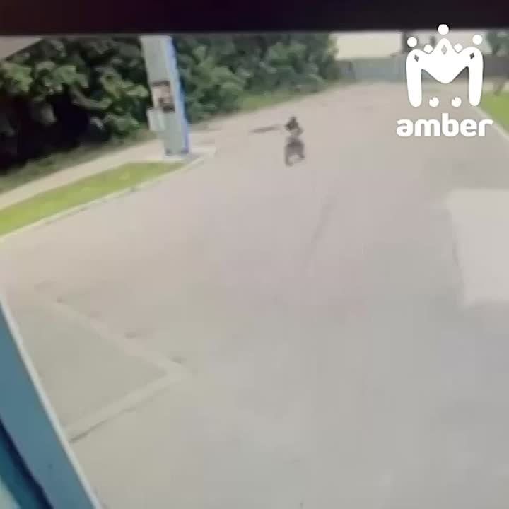           ,   ,     