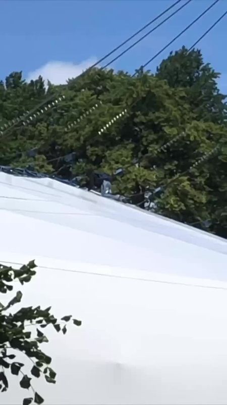           4- 