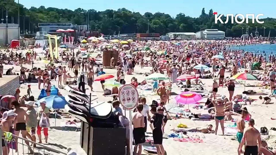       :  