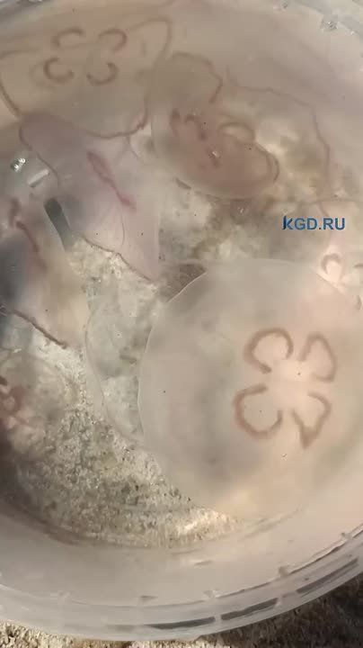      !