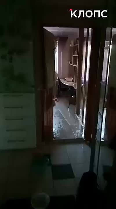         ,  11 ,      