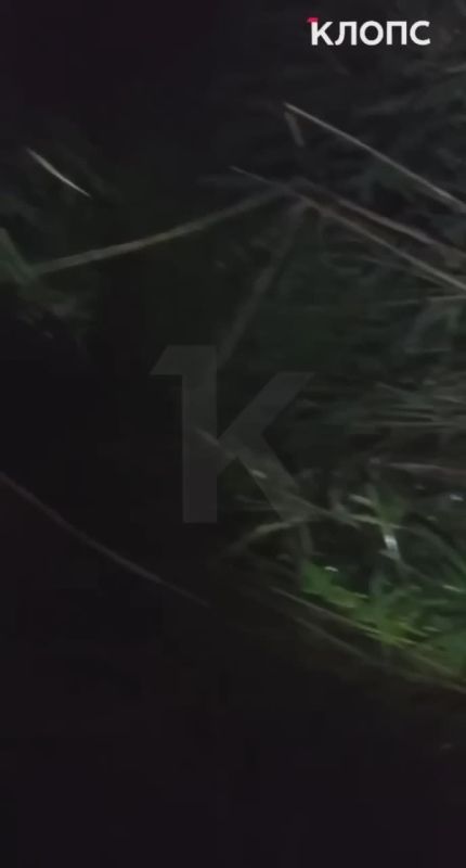 ,  ?:         