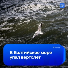     :         ,  ERR