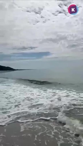   :       