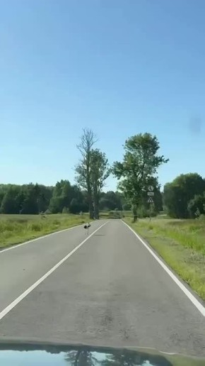  :           