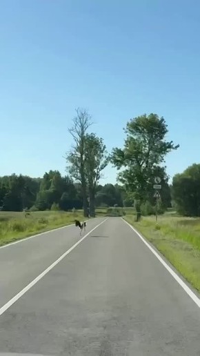   ,   