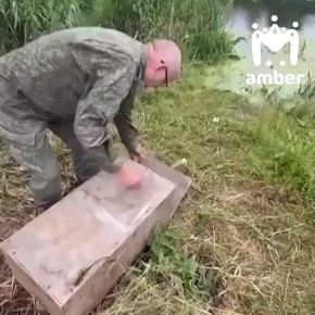 ,     ,     