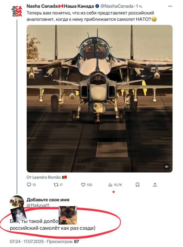 -   ,       ,              