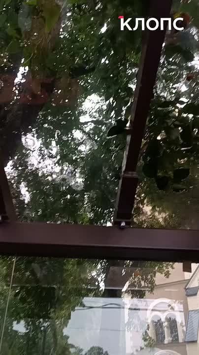  ,    ,  :         