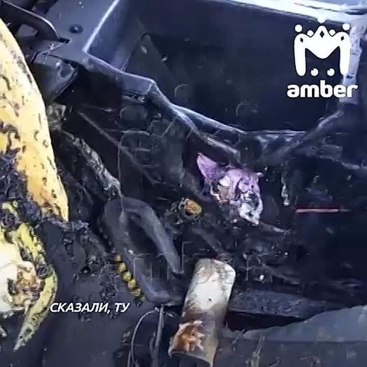  &quot;&quot;    