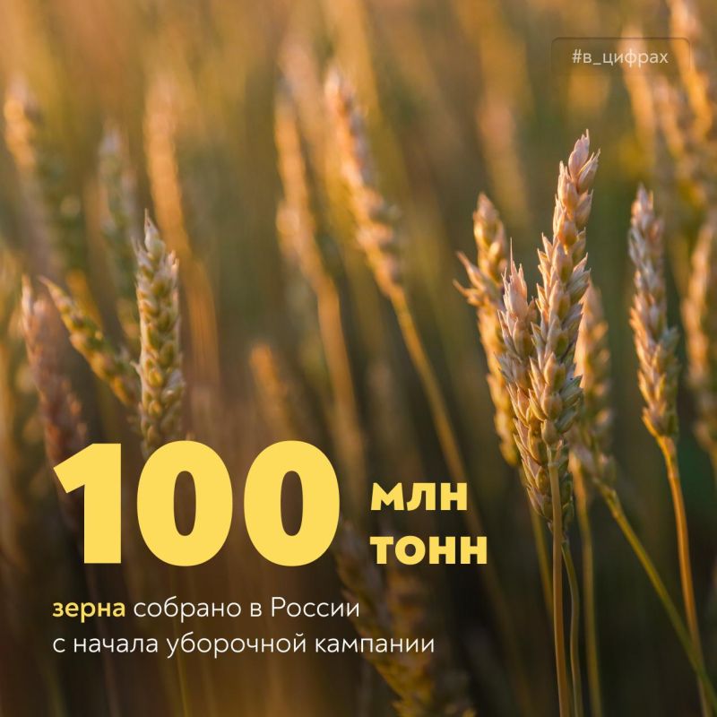    100     