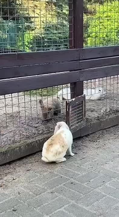        !
