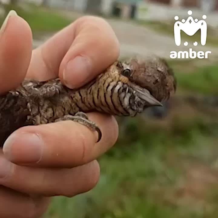   &quot;&quot;