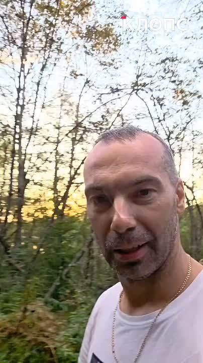     :    ,    