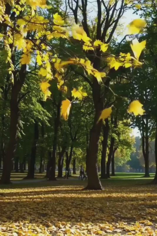 ,    !      