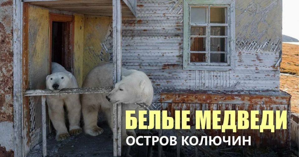  ,   :       ()