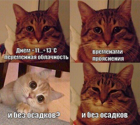  , !   