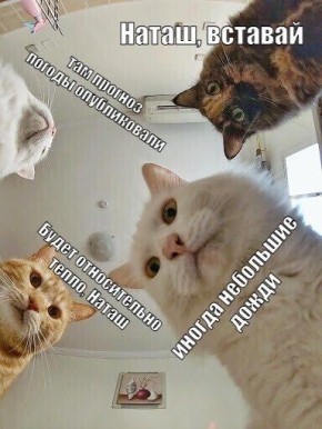  ! ,  ?
