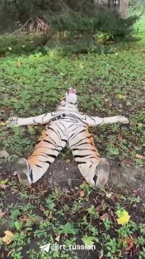      ,     :        